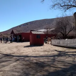 Silver Saddle Ranch - Carson City