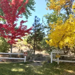 Dayton State Park - Dayton