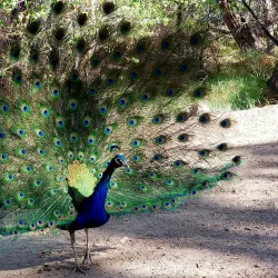 Dayton State Park - Dayton