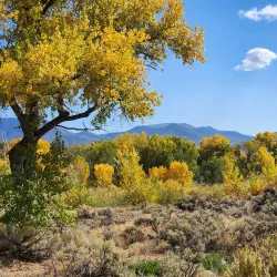 Dayton State Park - Dayton