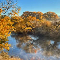 Dayton State Park - Dayton