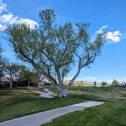 Dayton Valley Golf Club - Dayton