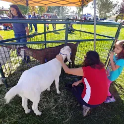 Heritage Park - Gardnerville