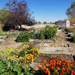 Heritage Park - Gardnerville