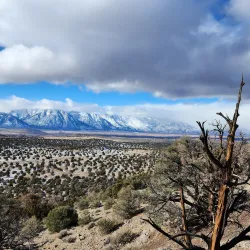Pinenut Mountains Trailhead - Gardnerville
