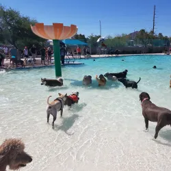 Black Mountain Recreation Center and Park - Henderson