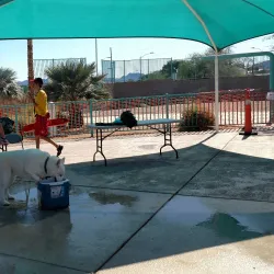 Black Mountain Recreation Center and Park - Henderson