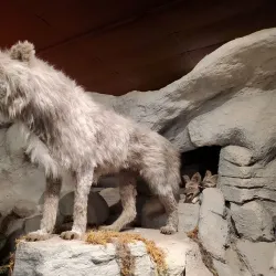 Clark County Heritage Museum - Henderson