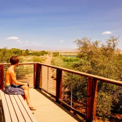 Henderson Bird Viewing Preserve - Henderson