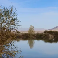 Henderson Bird Viewing Preserve - Henderson
