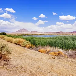 Henderson Bird Viewing Preserve - Henderson