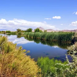 Henderson Bird Viewing Preserve - Henderson