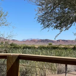 Henderson Bird Viewing Preserve - Henderson