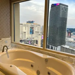 Bellagio Hotel and Casino - Las Vegas