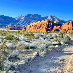 Red Rock Canyon National Conservation Area - Las Vegas