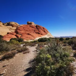 Red Rock Canyon National Conservation Area - Las Vegas
