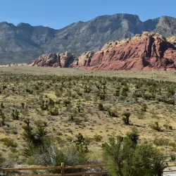 Red Rock Canyon National Conservation Area - Las Vegas