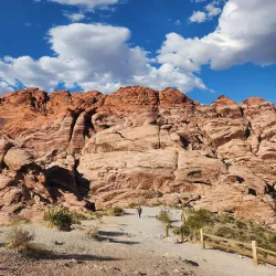 Red Rock Canyon National Conservation Area - Las Vegas