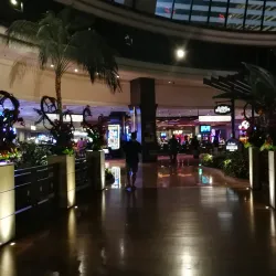 The Mirage - Las Vegas