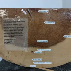 Pahrump Valley Museum - Pahrump