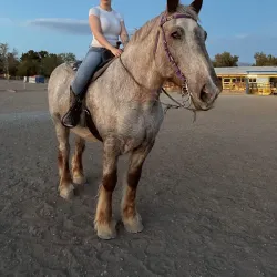 Sandstone Ranch - Pahrump