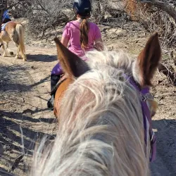 Sandstone Ranch - Pahrump