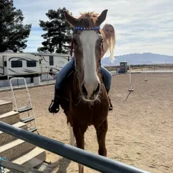 Sandstone Ranch - Pahrump