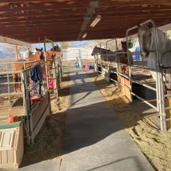 Sandstone Ranch - Pahrump