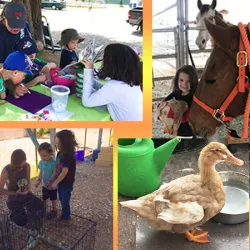 Sandstone Ranch - Pahrump