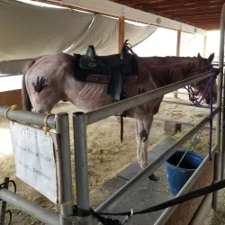 Sandstone Ranch - Pahrump