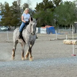 Sandstone Ranch - Pahrump