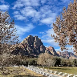 Spring Mountain Ranch State Park - Pahrump