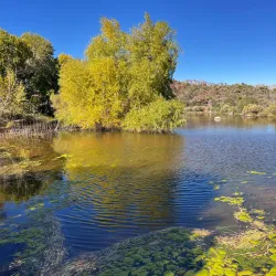 Spring Mountain Ranch State Park - Pahrump