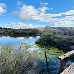 Spring Mountain Ranch State Park - Pahrump