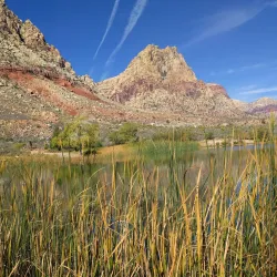 Spring Mountain Ranch State Park - Pahrump