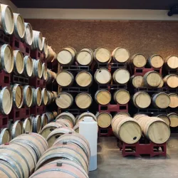 Turtle Mountain Vineyard and Winery - Pahrump