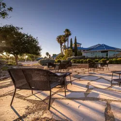 Turtle Mountain Vineyard and Winery - Pahrump