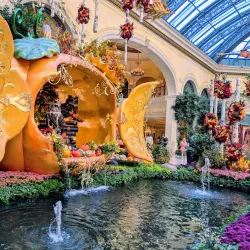 Bellagio Conservatory & Botanical Gardens - Paradise