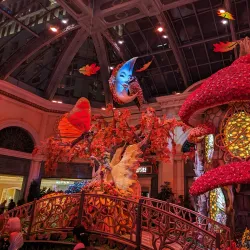 Bellagio Conservatory & Botanical Gardens - Paradise