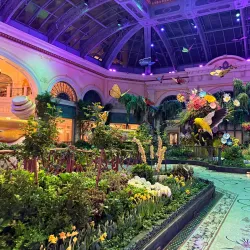 Bellagio Conservatory & Botanical Gardens - Paradise