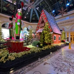 Bellagio Conservatory & Botanical Gardens - Paradise