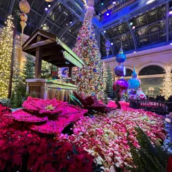 Bellagio Conservatory & Botanical Gardens - Paradise