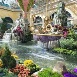 Bellagio Conservatory & Botanical Gardens - Paradise