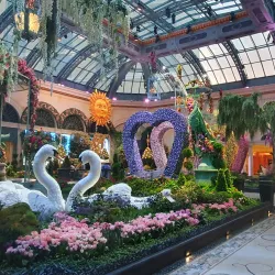 Bellagio Conservatory & Botanical Gardens - Paradise