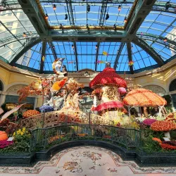 Bellagio Conservatory & Botanical Gardens - Paradise