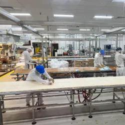 Ethel M Chocolate Factory and Cactus Garden - Paradise