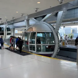 High Roller Observation Wheel - Paradise