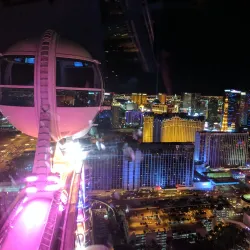 High Roller Observation Wheel - Paradise