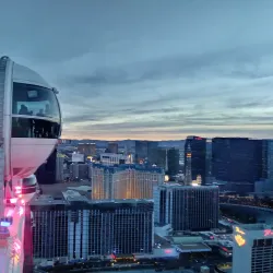 High Roller Observation Wheel - Paradise