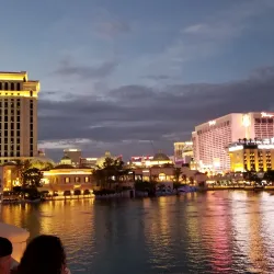 Las Vegas Strip - Paradise